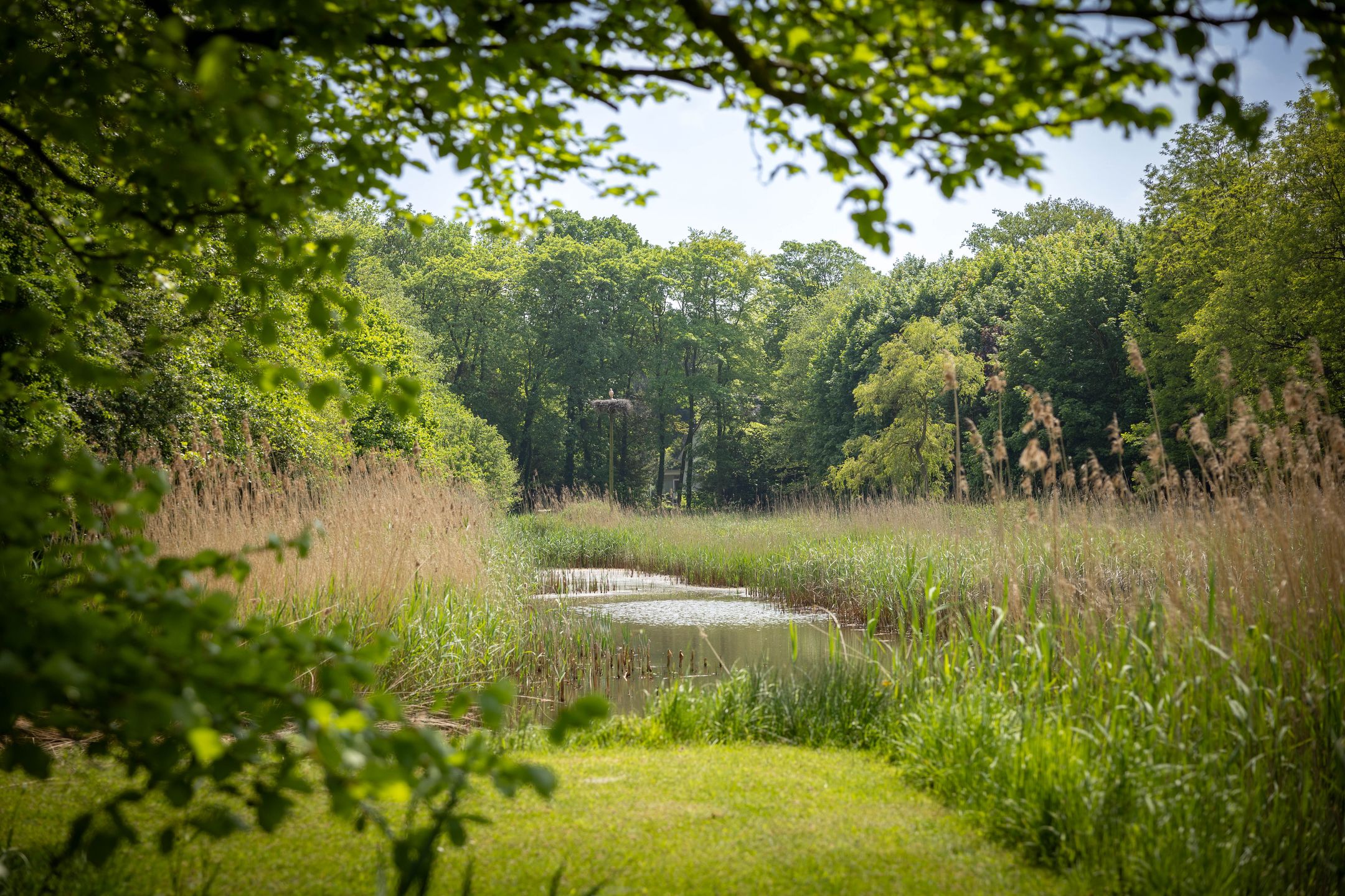 Foto 66 van Sallandsweg 9