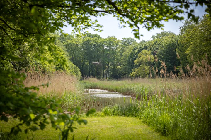 Foto 66 van Sallandsweg 9