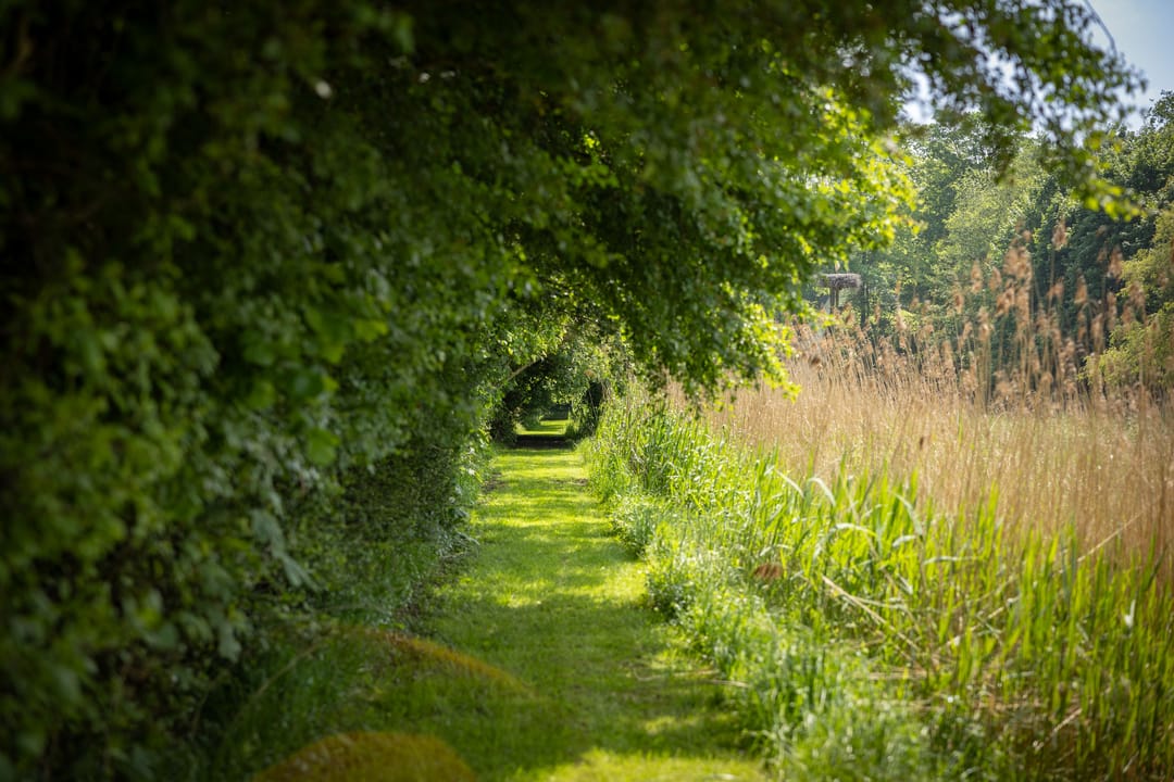 Foto 67 van Sallandsweg 9