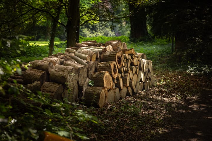 Foto 69 van Sallandsweg 9