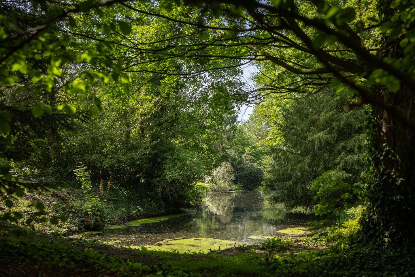 Foto 70 van Sallandsweg 9