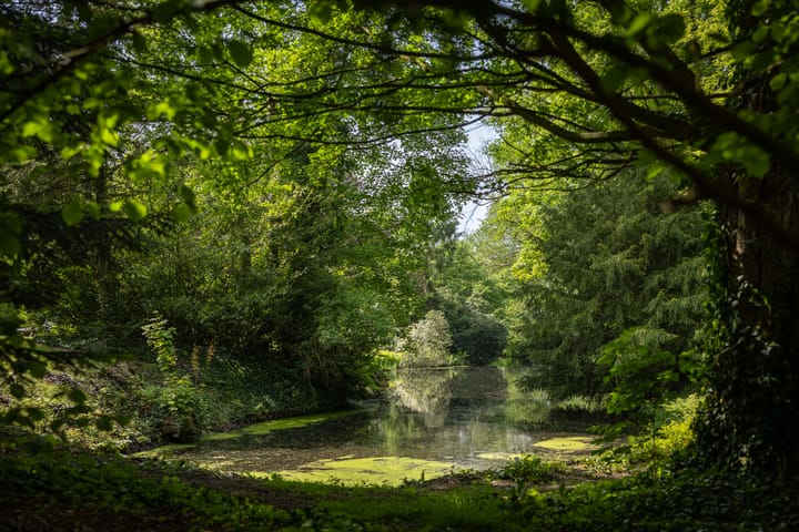 Foto 70 van Sallandsweg 9