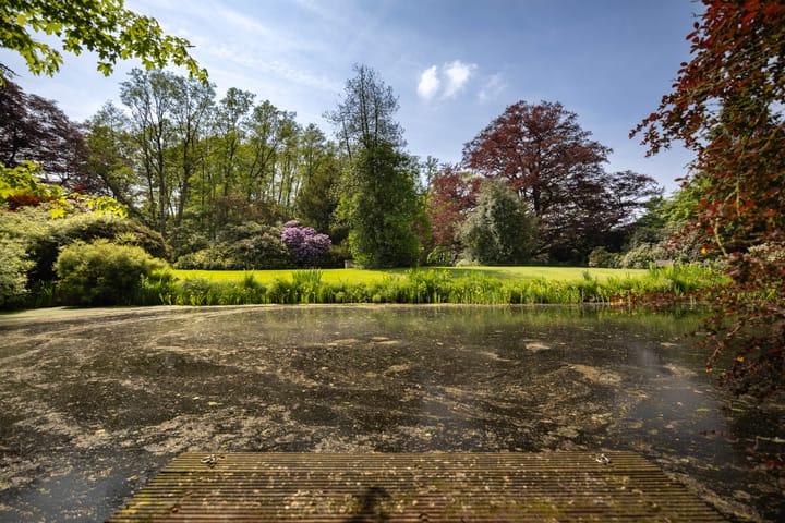 Foto 74 van Sallandsweg 9