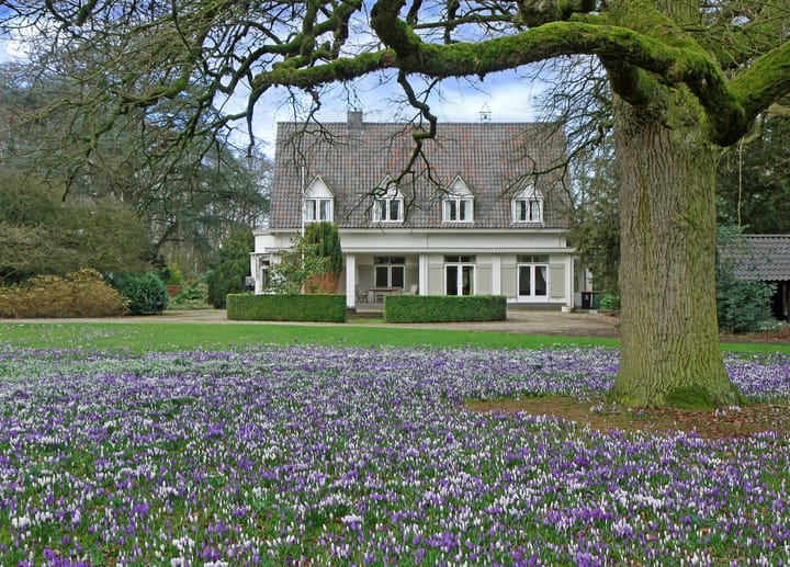 Foto 83 van Sallandsweg 9