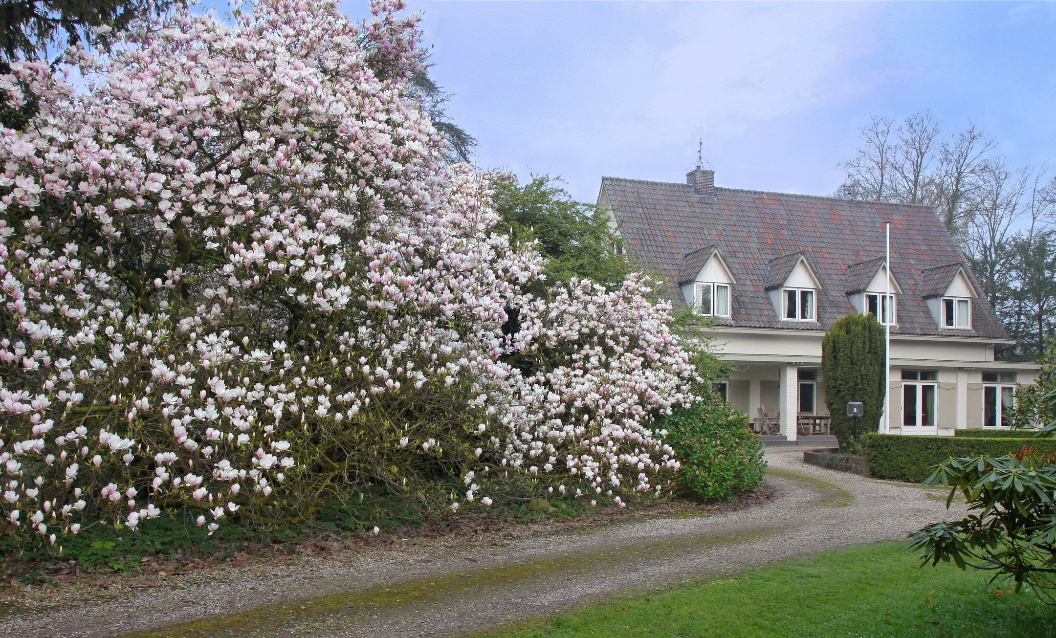 Foto 84 van Sallandsweg 9