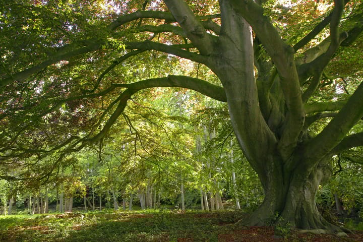 Foto 87 van Sallandsweg 9