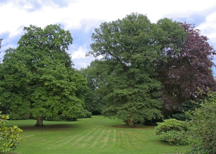 Foto 88 van Sallandsweg 9