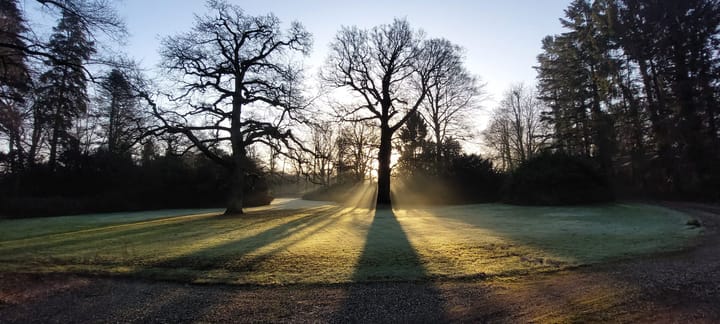 Foto 89 van Sallandsweg 9