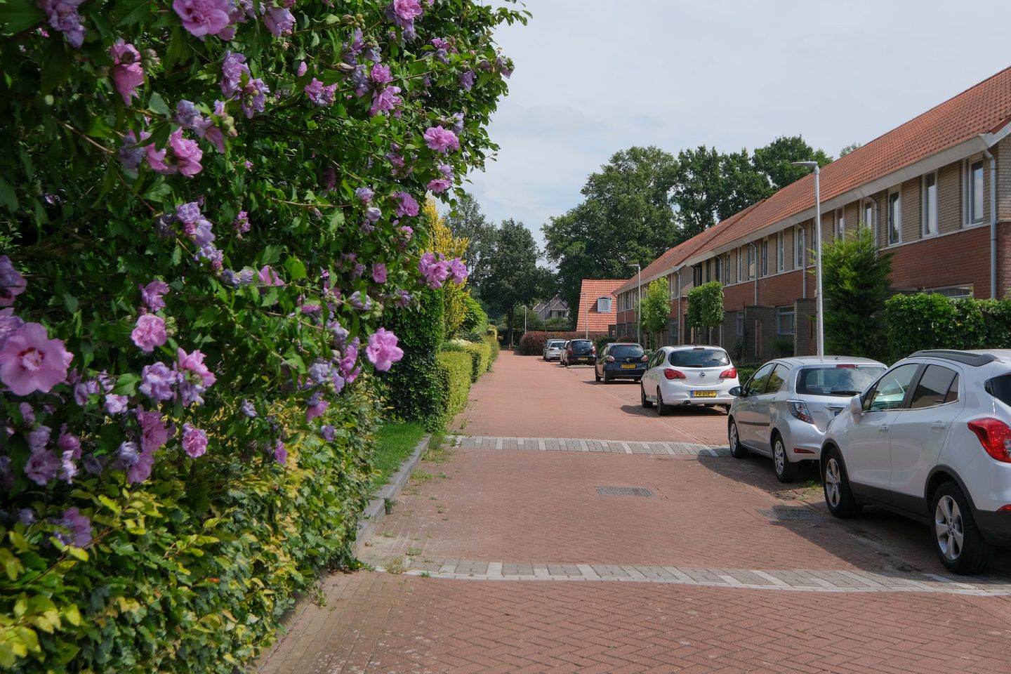 Foto 25 van Theater 11-D