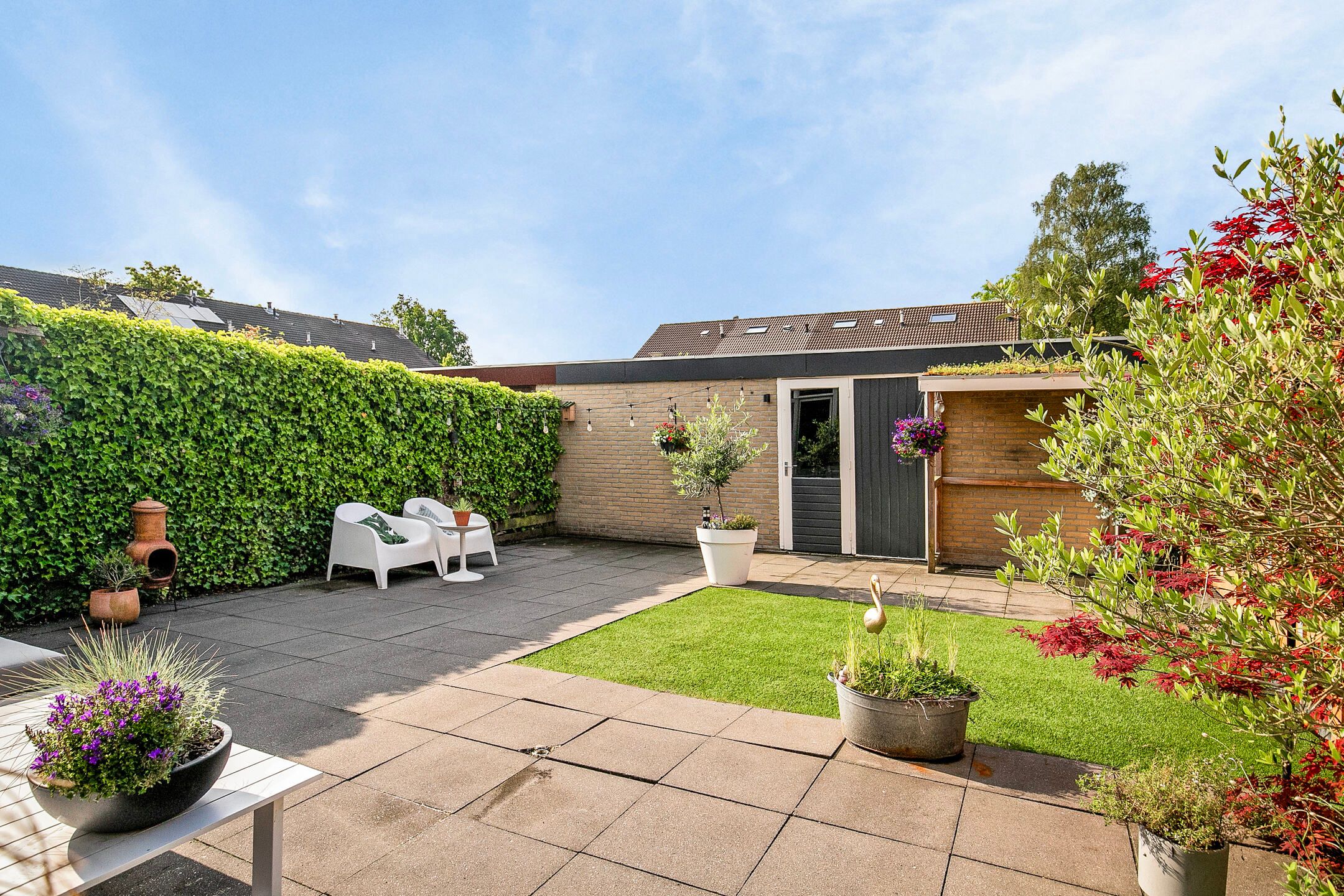 Photo 3 of Douwe Kalmaleane 101