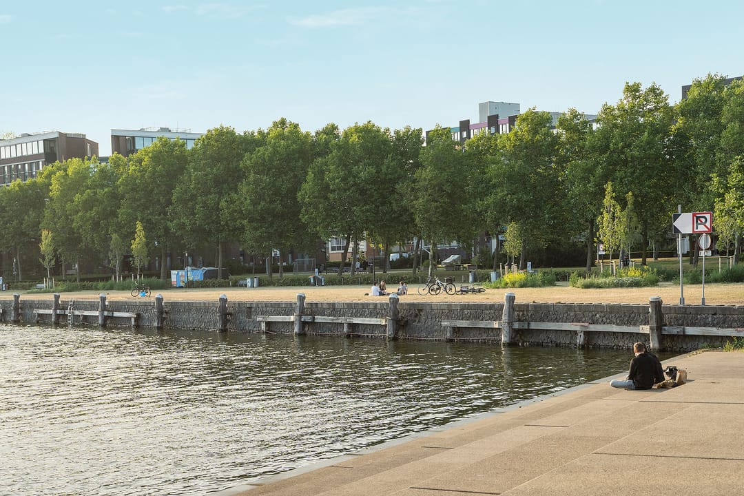 Foto 31 van Bogortuin 13