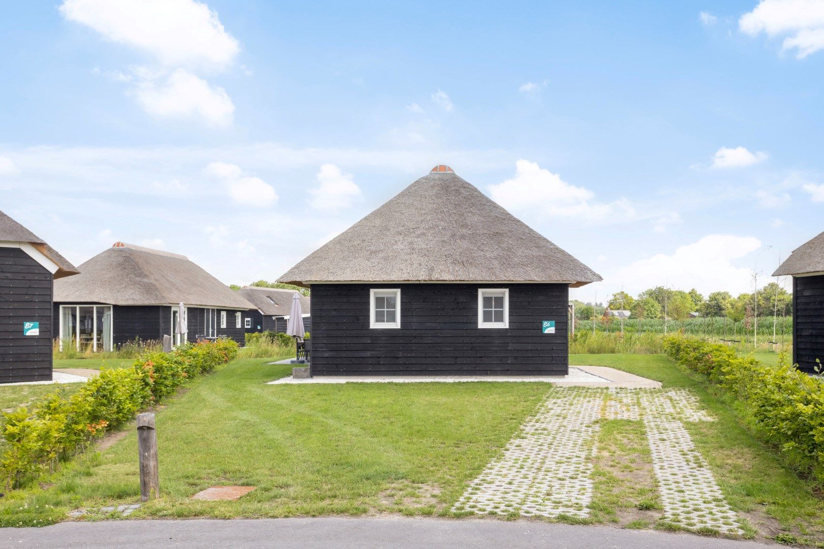 3-bedroom freehold villa in Someren — photo 4 of 5