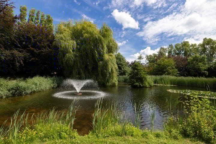 Photo 6 of Berkenlaan 26