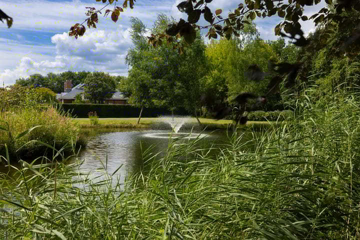 Photo 8 of Berkenlaan 26