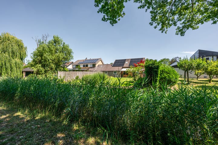 Photo 19 of Moerland 11