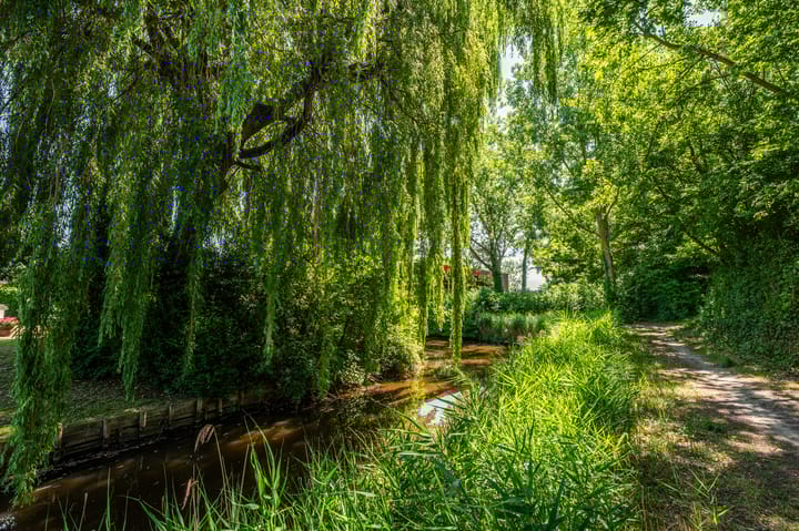 Photo 23 of Moerland 11