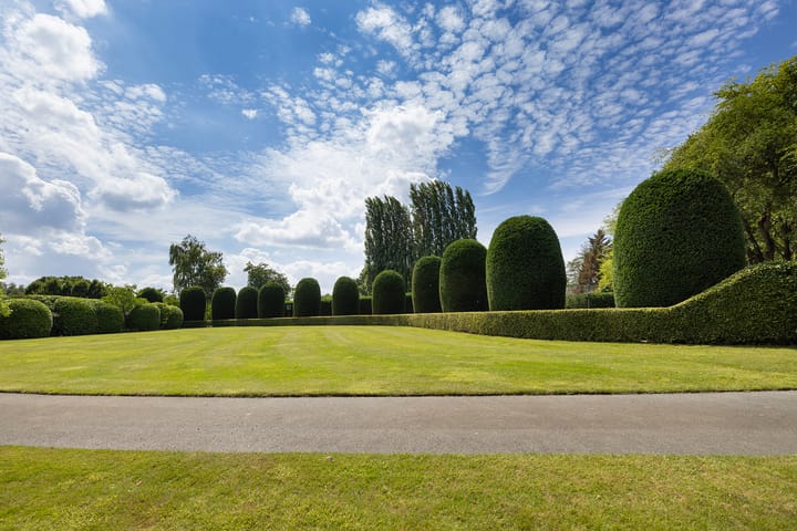 Photo 18 of Berkenlaan 26