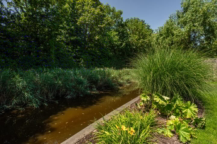 Photo 33 of Moerland 11