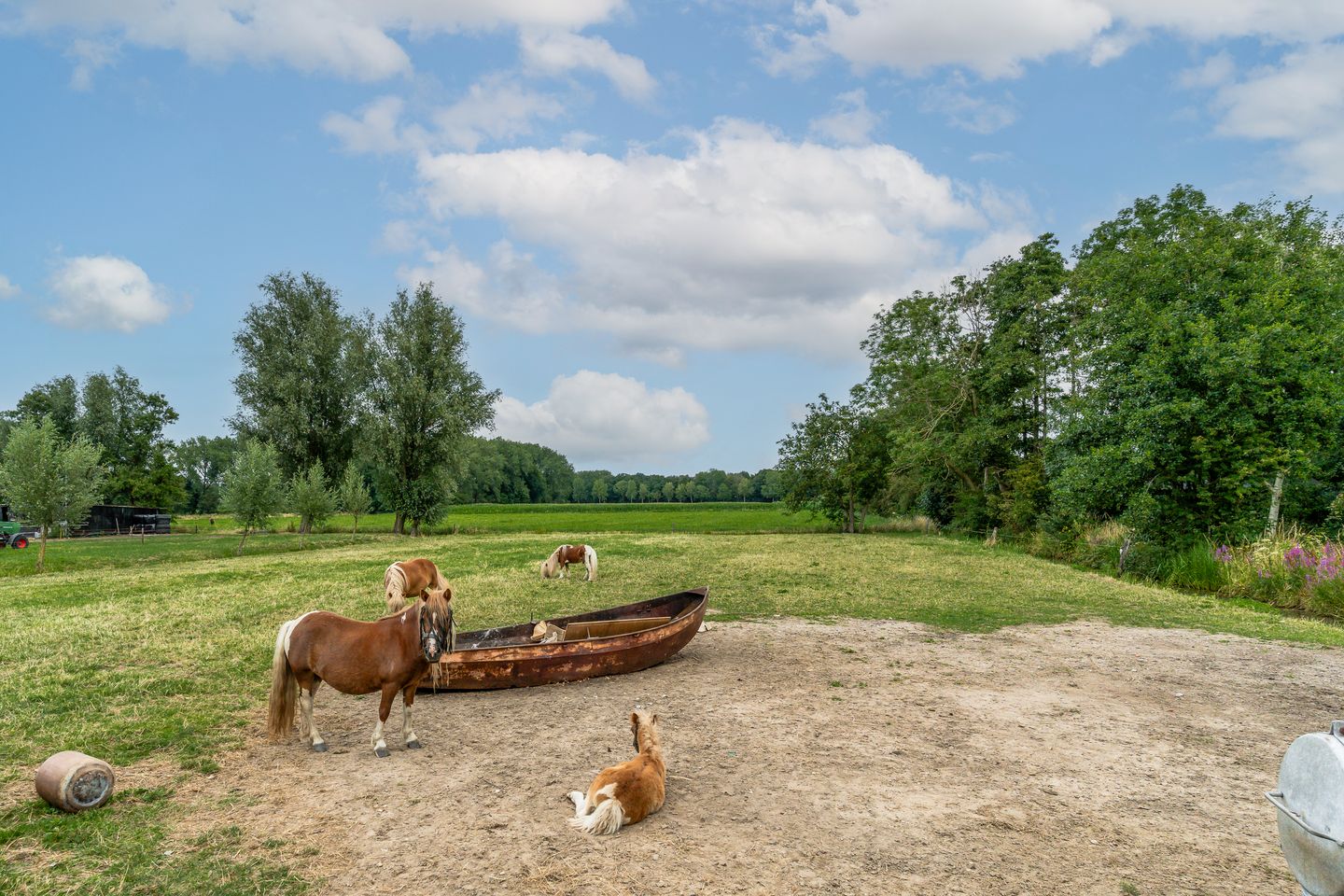 Foto 64 van Bolgerijsekade 18