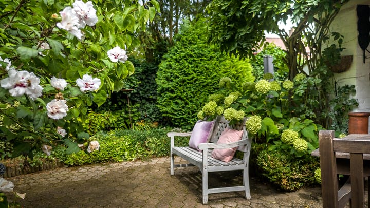 Foto 35 van Directeur van der Mühlenlaan 45