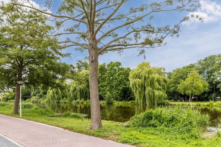 Foto 34 van Lijsterstraat 218