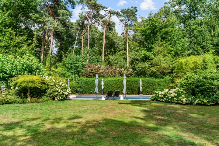 Foto 5 van Dolderseweg 120-A