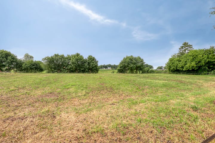 Foto 50 van Langstraat 41-A