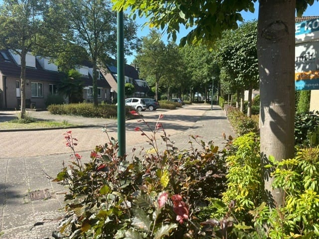 Foto 55 van Molenbeek 22