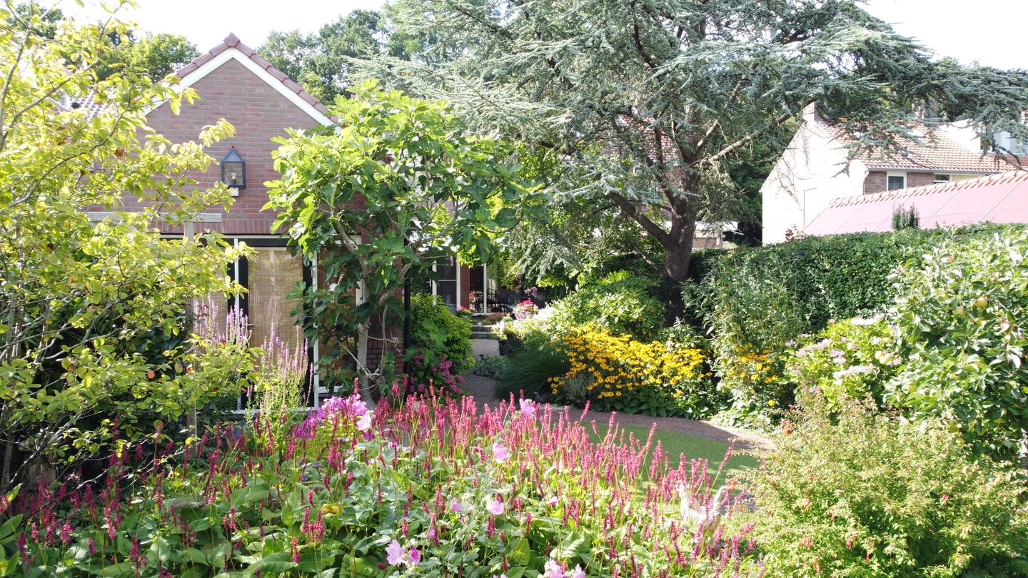 Foto 19 van Parklaan 90