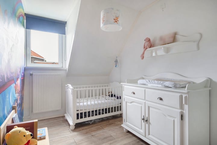 Foto 29 van Carel van Manderstraat 39