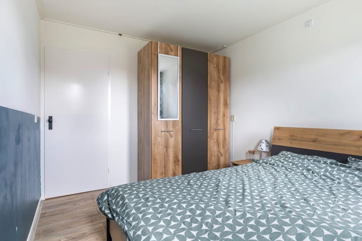 Foto 31 van Carel van Manderstraat 39