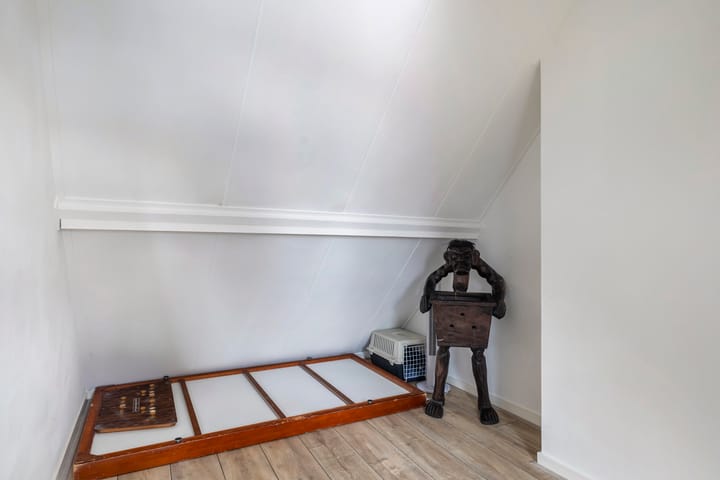 Foto 36 van Carel van Manderstraat 39