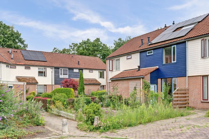 Foto 2 van de Vlashegge 86