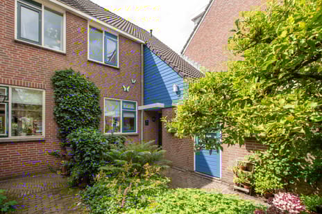 undefined main image