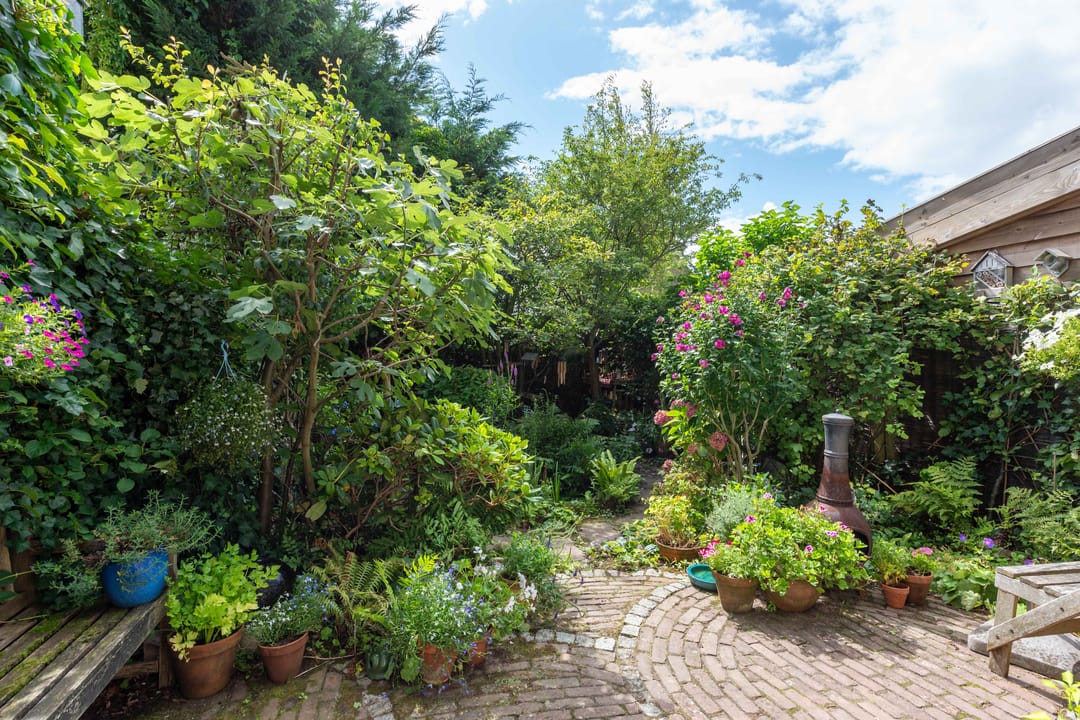 Foto 31 van Hoocamp 33