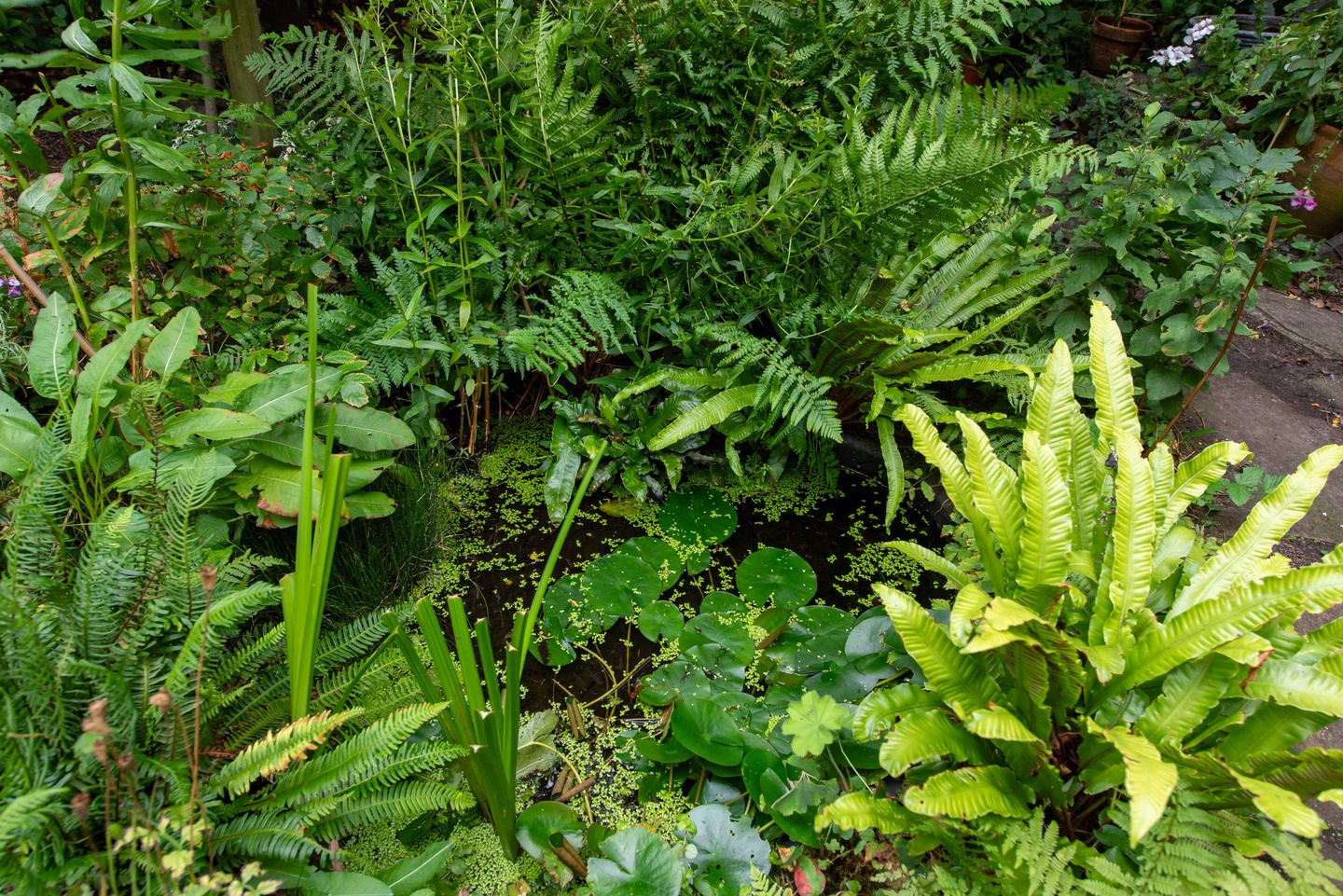 Foto 40 van Hoocamp 33