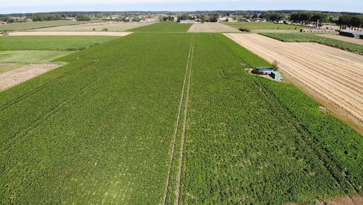 Photo 4 of Rijksweg 32