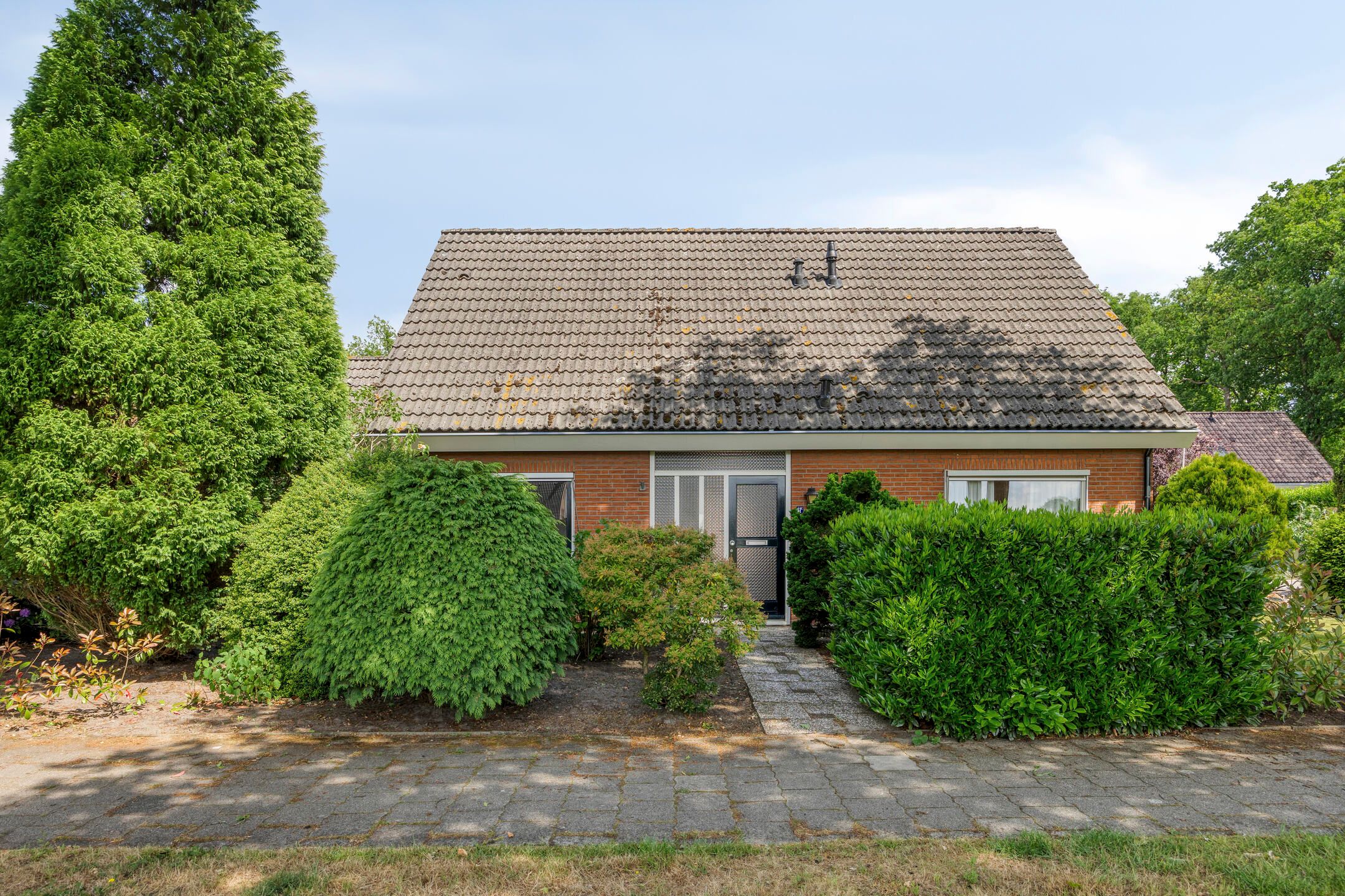 Foto 30 van Rechtuit 41-C