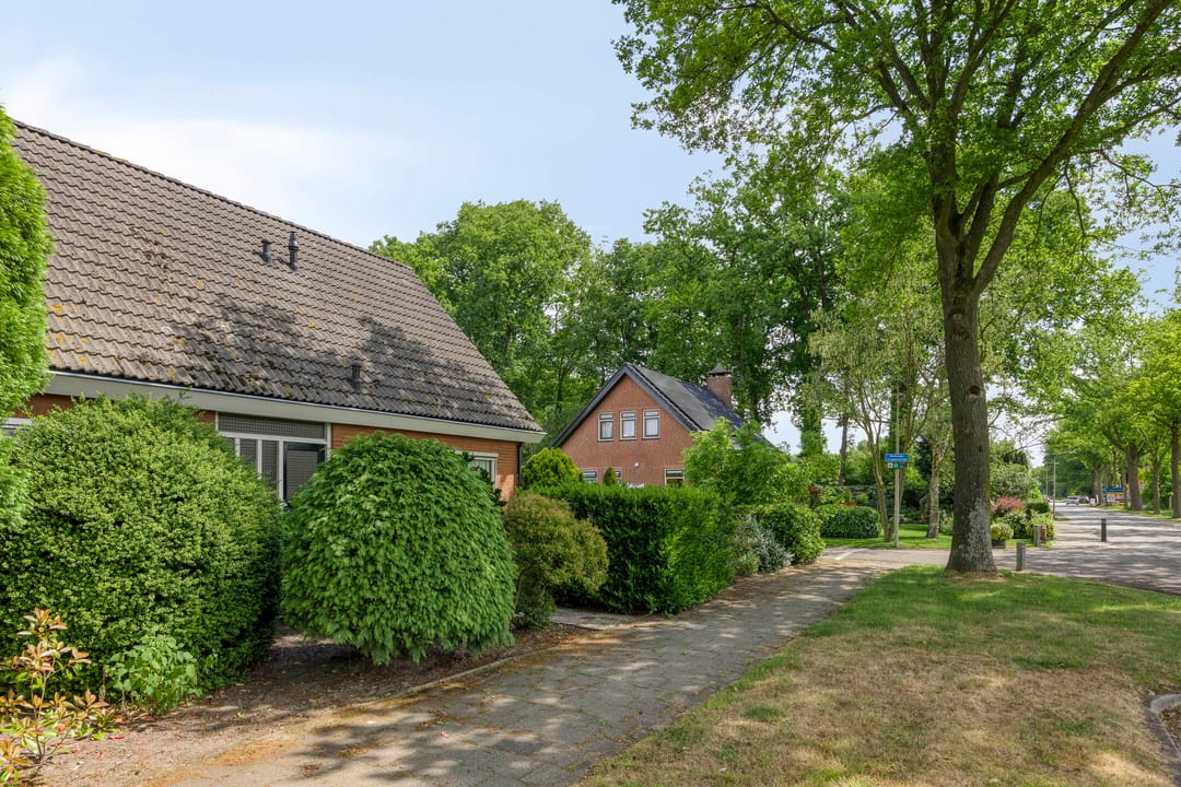 Foto 31 van Rechtuit 41-C