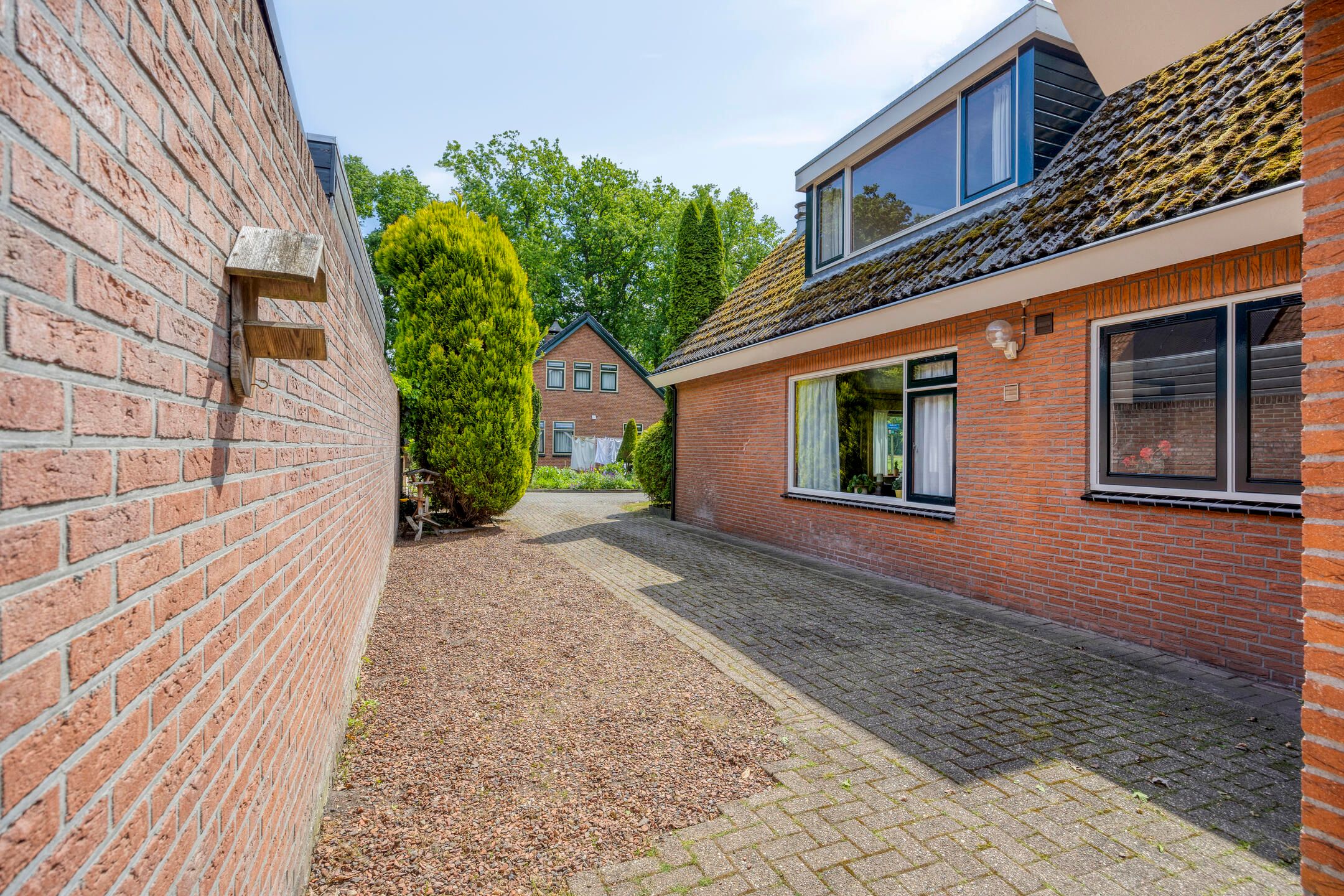 Foto 36 van Rechtuit 41-C