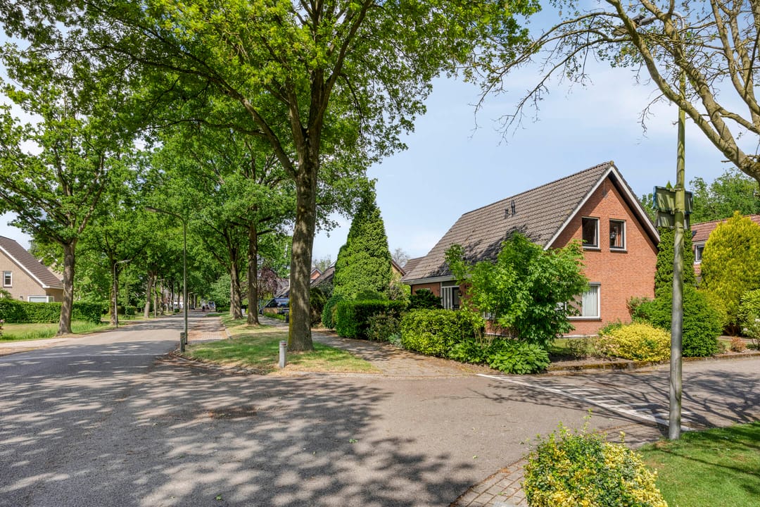 Foto 37 van Rechtuit 41-C