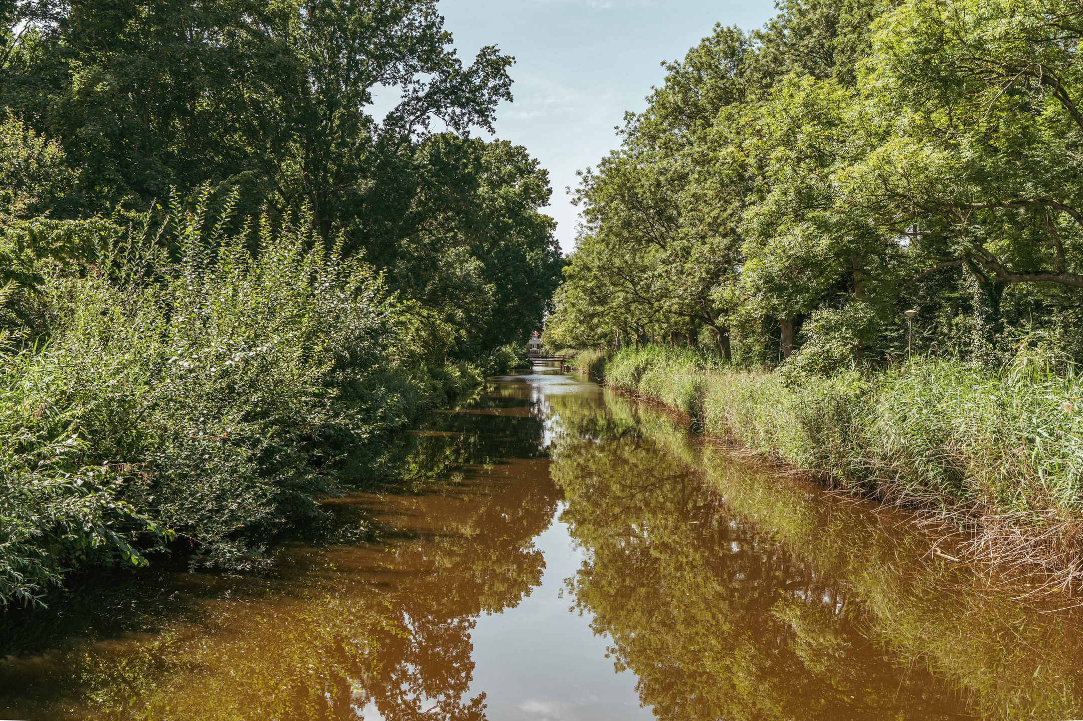 Foto 30 van Bos en Vaartlaan 97