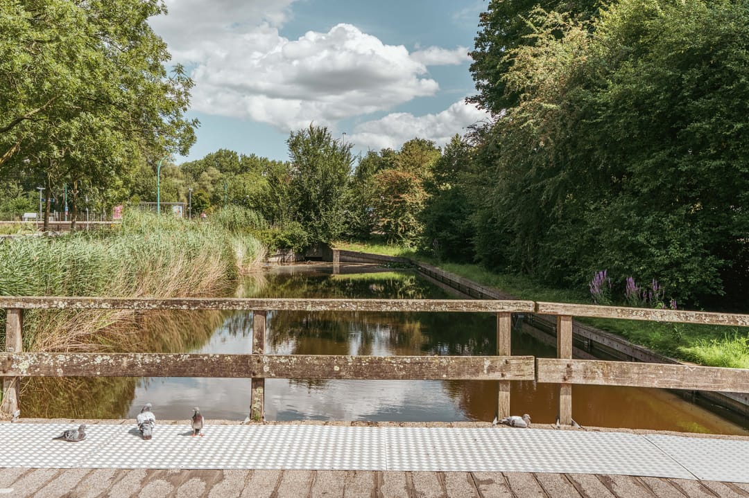 Foto 31 van Bos en Vaartlaan 97