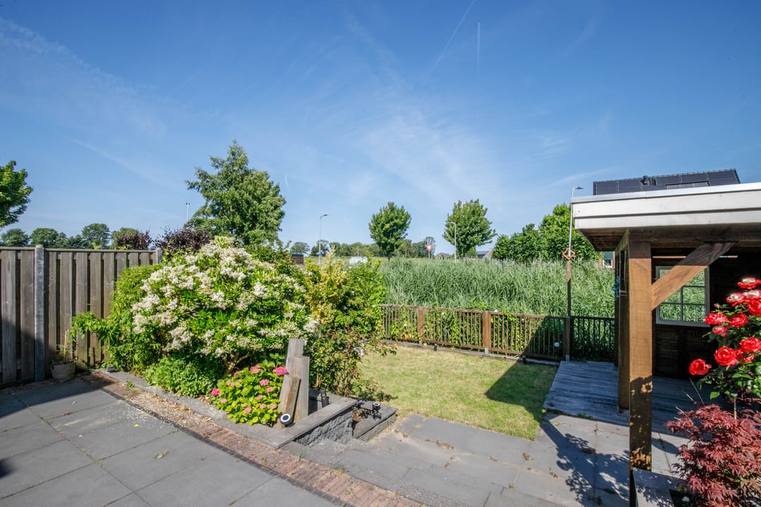 Foto 43 van Koningsoever 3