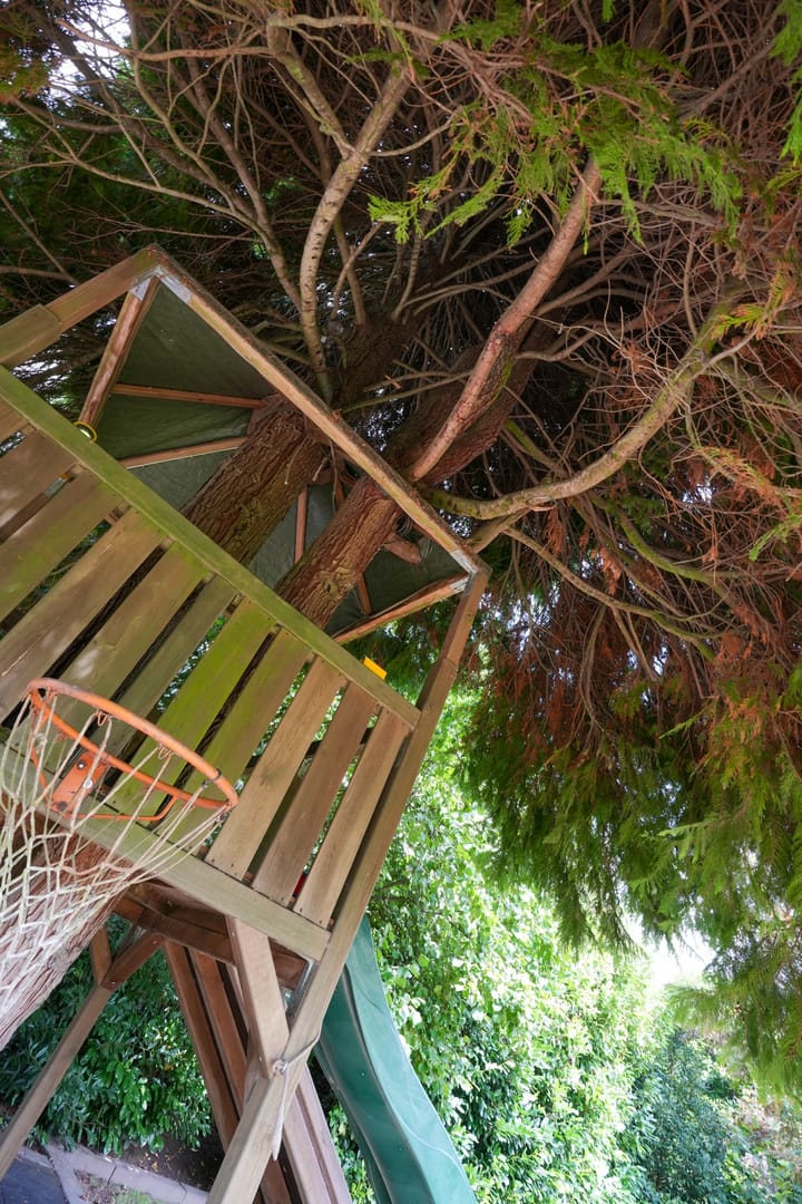 Foto 37 van Sterre der Zeestraat 9