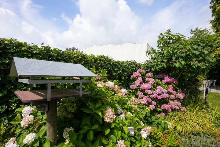 Foto 42 van Sterre der Zeestraat 9