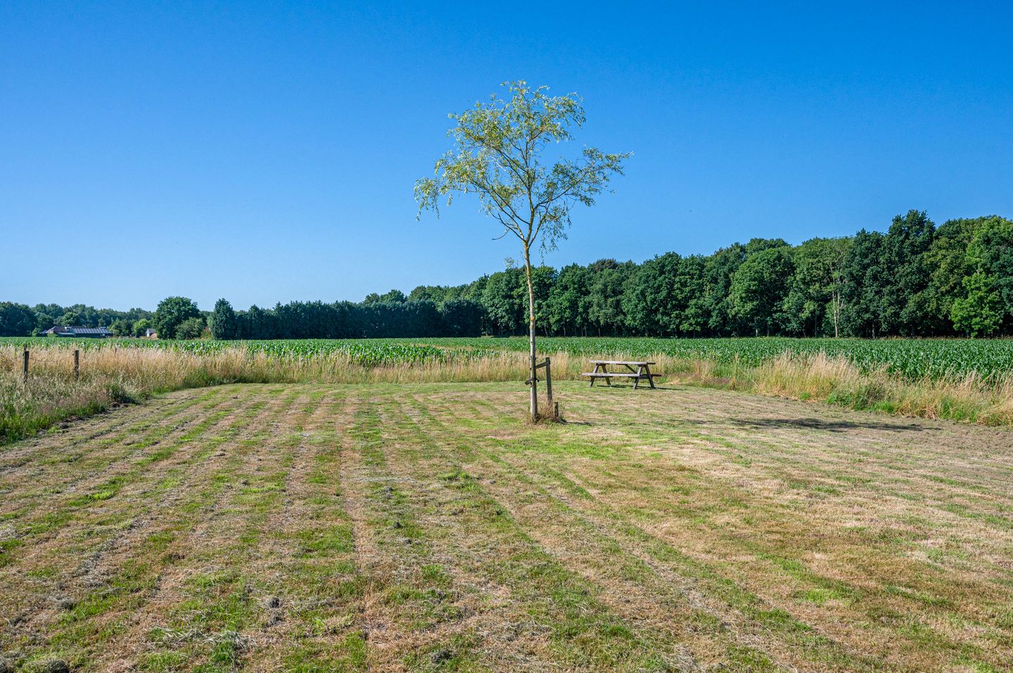 Photo 65 of Trekweg 41