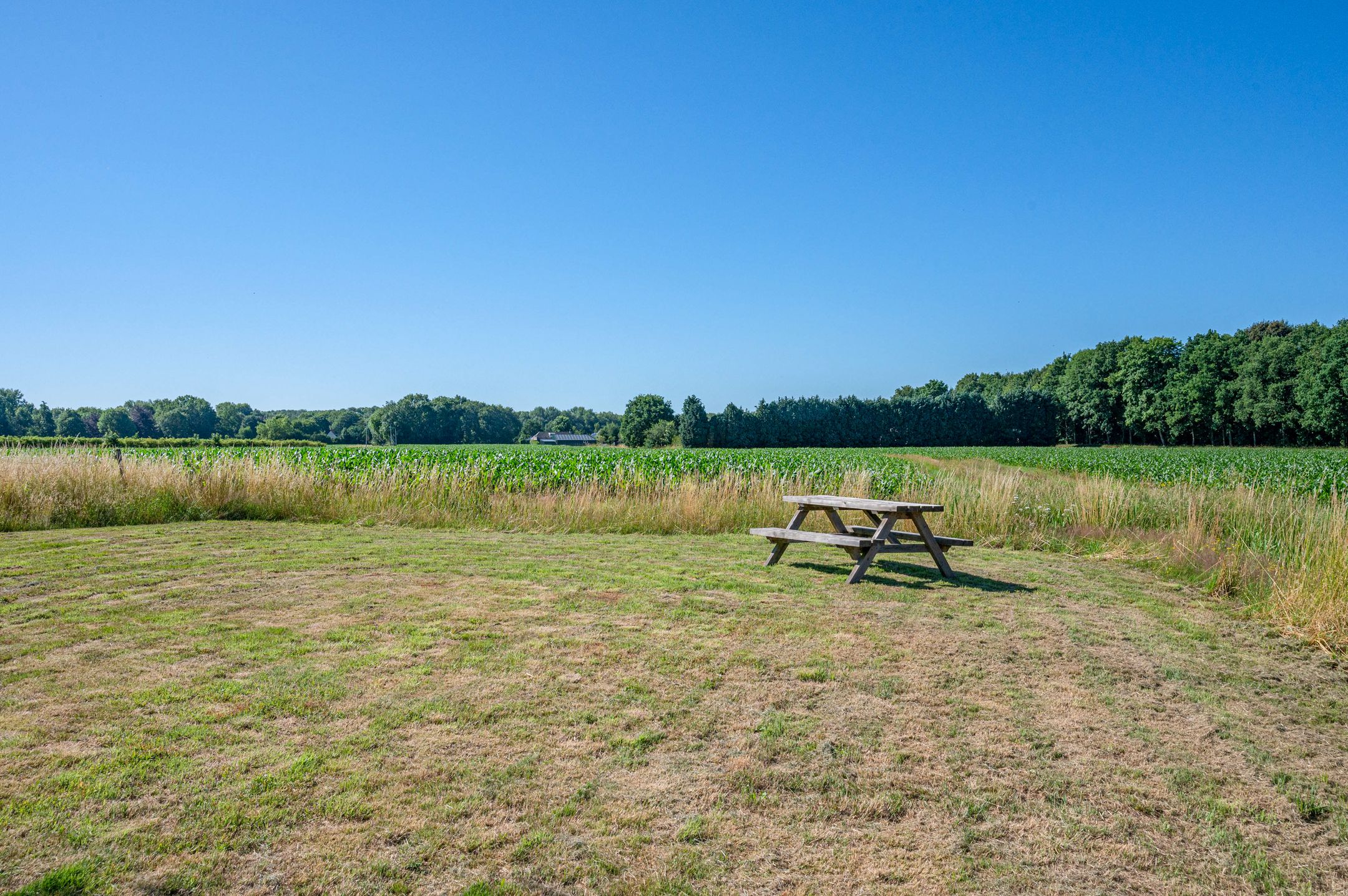 Photo 66 of Trekweg 41