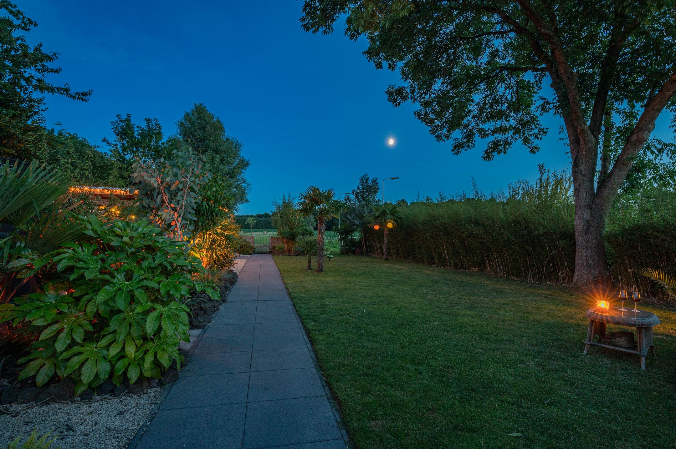 Photo 81 of Trekweg 41