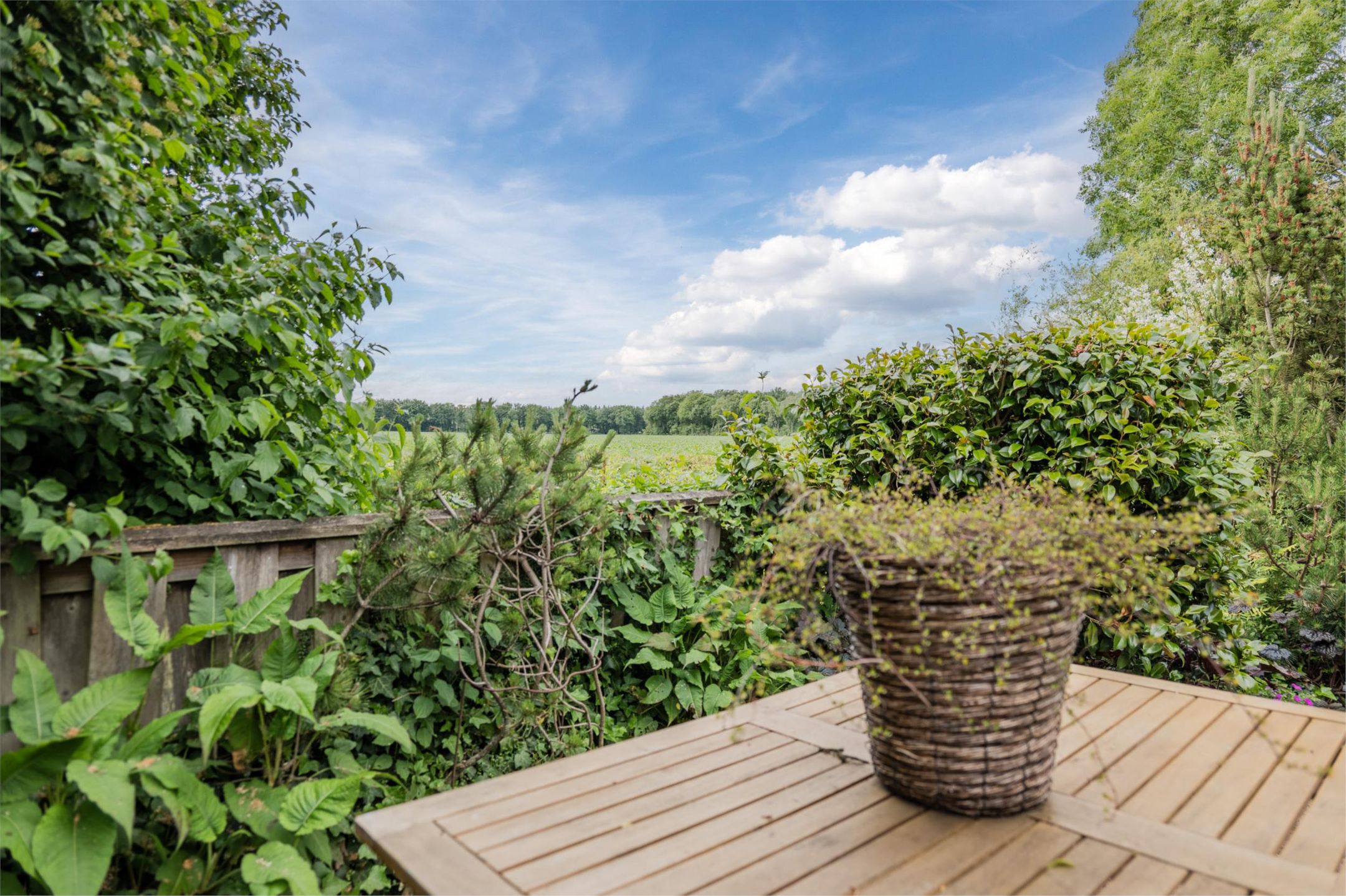 Foto 42 van Sportlaan 34